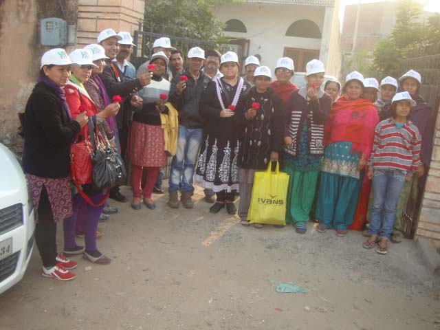 Faridabad Collection